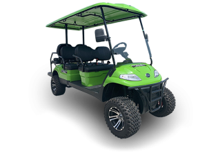 golf cart repair service, palm beach cart repair pickup, golf cart inspection